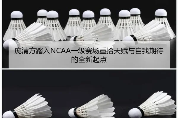 庞清方踏入NCAA一级赛场重拾天赋与自我期待的全新起点